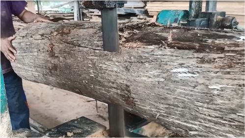 越南木材加工厂实拍,落后程度无法想象,参观一下
